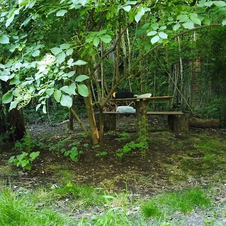 Apartment Galeria Kolorow - Apartament With A Garden *